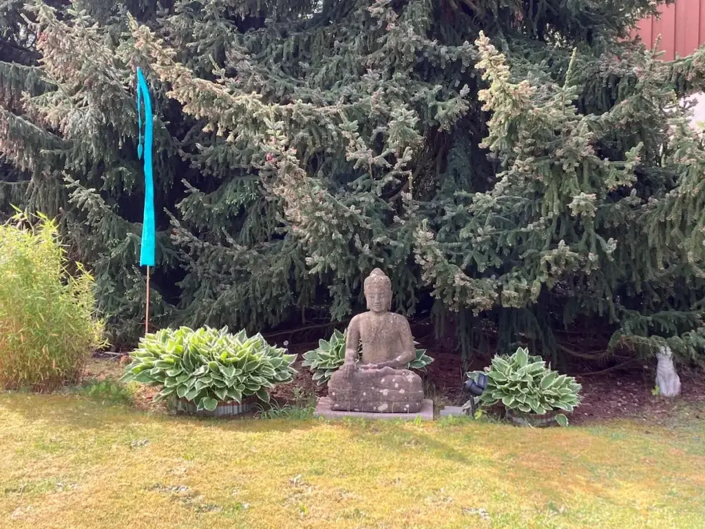 Ernst Singer - TAI JI QUAN AND QI GONG